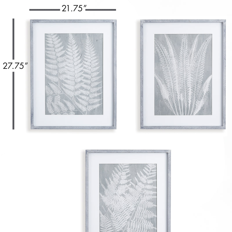 NAPA Home & Garden, FERN FROND PRINTS, SET OF 3,NNH544