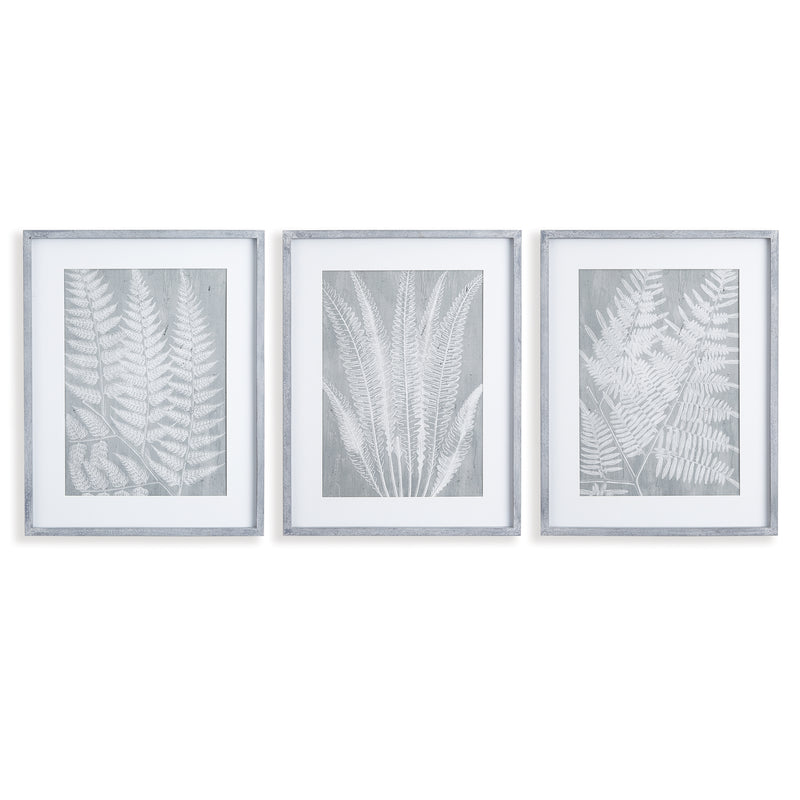 NAPA Home & Garden, FERN FROND PRINTS, SET OF 3,NNH544