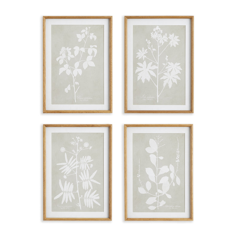 NAPA Home & Garden, FOLIAGE STUDY, SET OF 4,NNH548