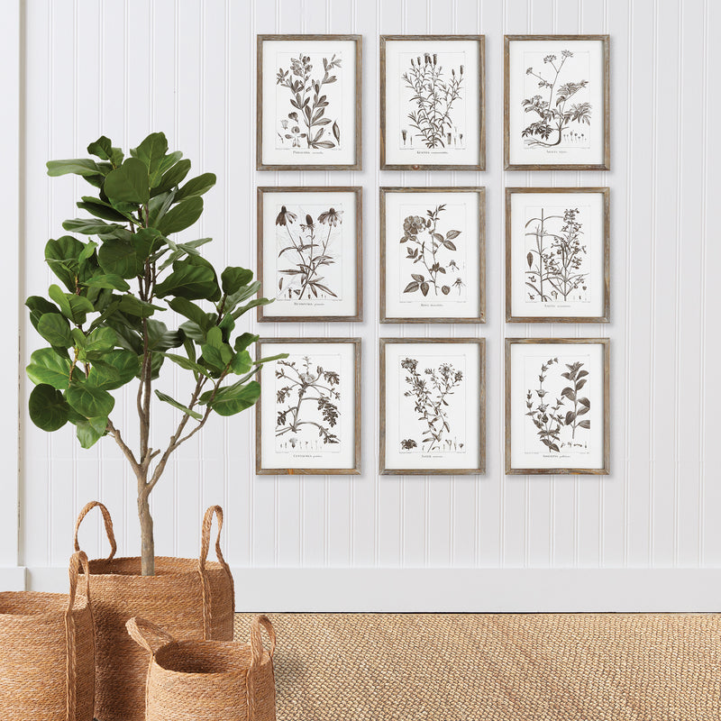 NAPA Home & Garden, RUSTIC FOLIAGE STUDY, SET OF 9,NNH550