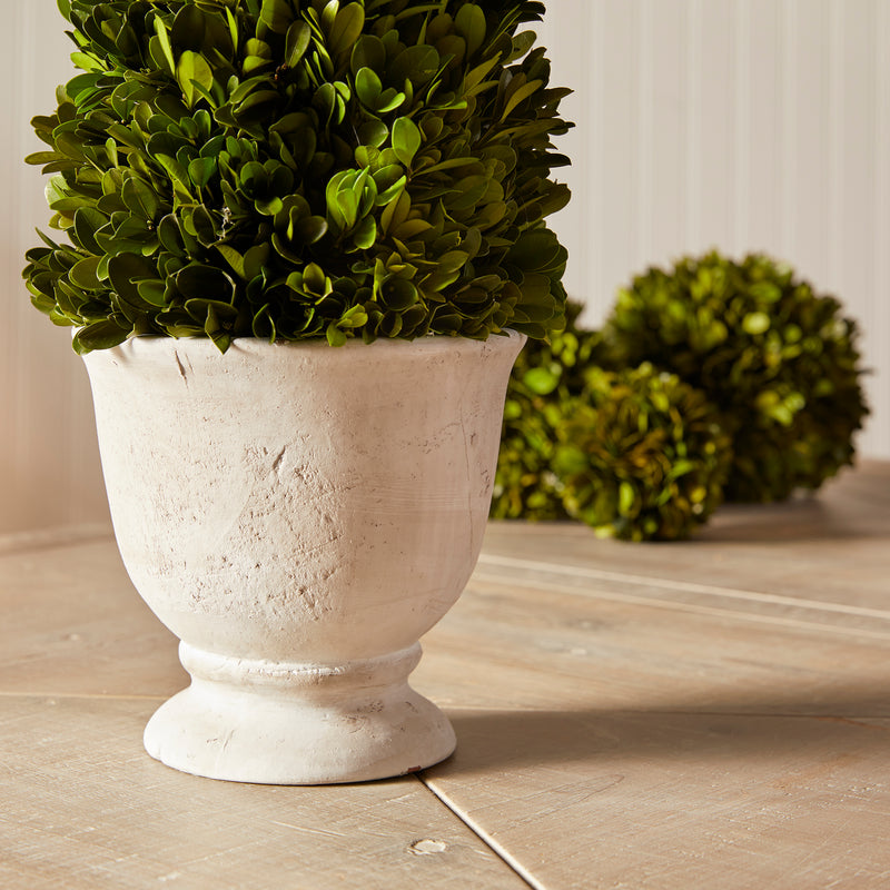 NAPA Home & Garden, BOXWOOD CONE TOPIARY IN POT,NPG404