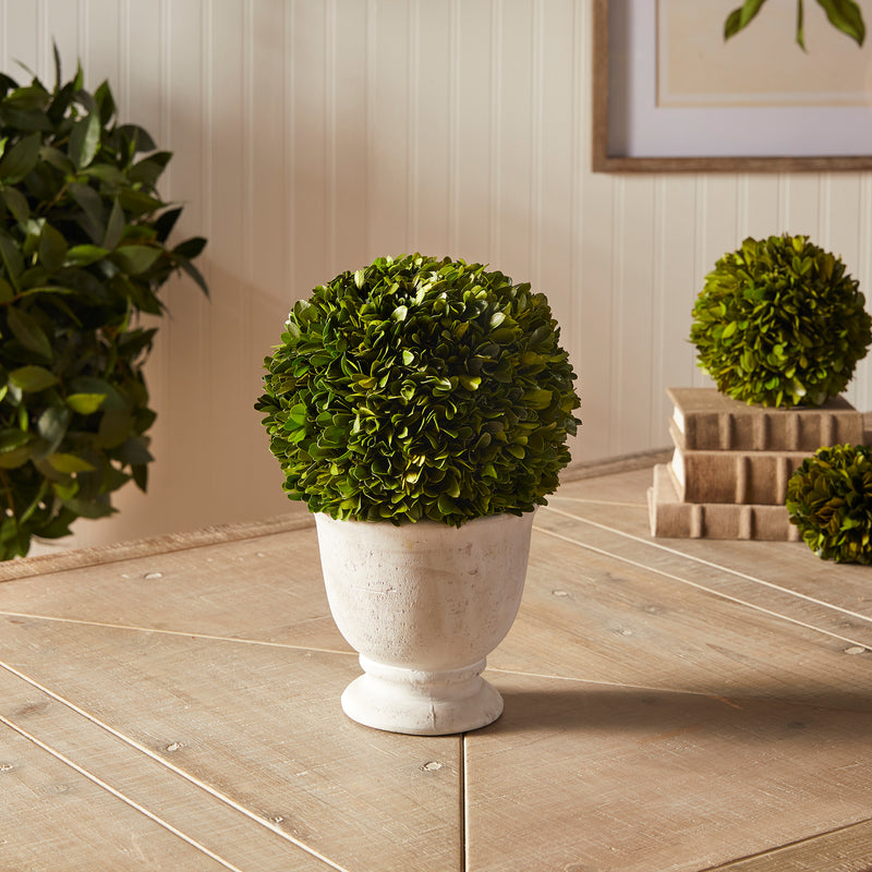 NAPA Home & Garden, BOXWOOD BALL TOPIARY IN POT LARGE,NPG405