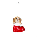 Heartfelt Cheer Pet Ornament Resin Dog in Stocking, Asst of 6, 4"
