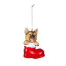 Heartfelt Cheer Pet Ornament Resin Dog in Stocking, Asst of 6, 4"