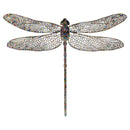 VivaStyle Wall Decor, Metal, Dragonfly Lasercut, Asst of 3