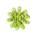 What She Shed Indoor Wall Décor, Ceramic Wall, San Pedro Cacti, Asst of 3