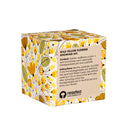 Wild Flower Seed Bomb Grow Kit
