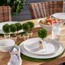 NAPA Home & Garden, BOXWOOD MINI SINGLE BALL TOPIARY IN POT,PG401