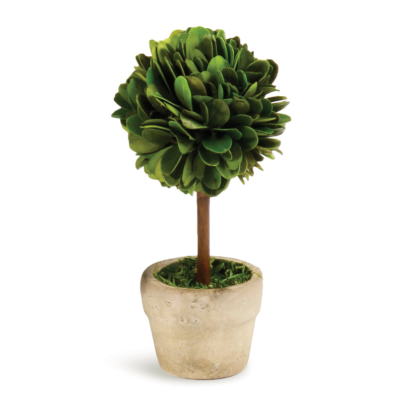 NAPA Home & Garden, BOXWOOD MINI SINGLE BALL TOPIARY IN POT,PG401