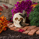 Resin Skull with Two Butterflies Statuary