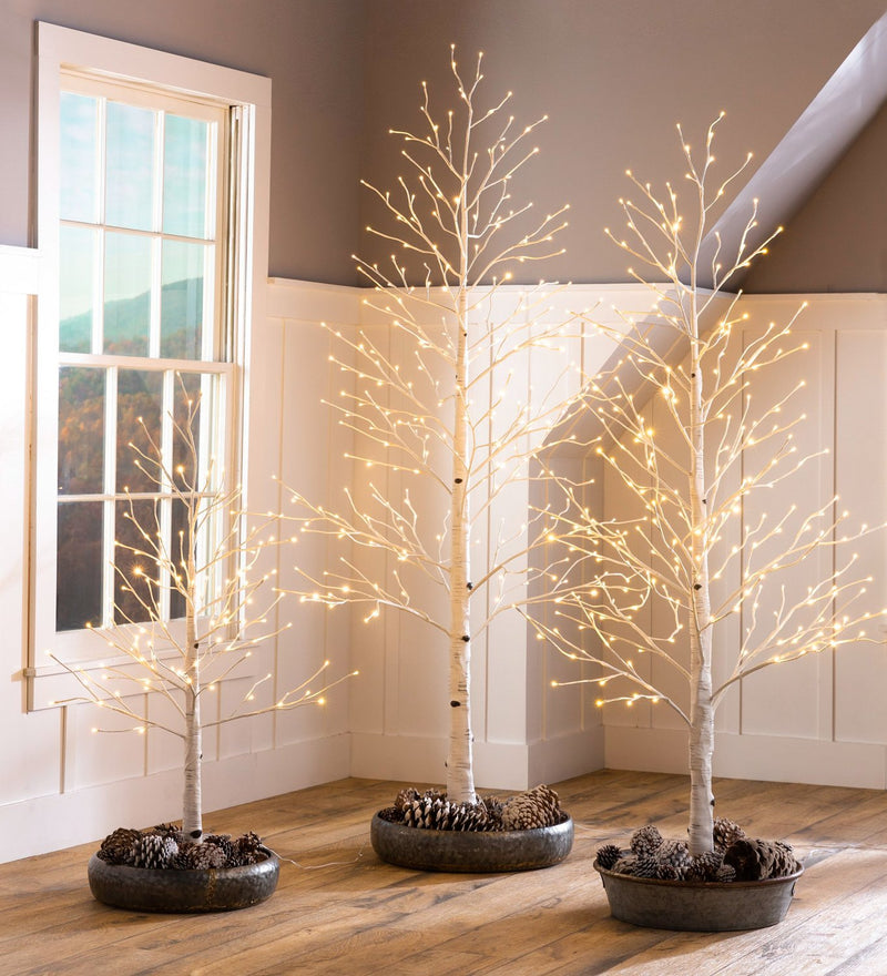 Evergreen Holiday Decorations,7'H Indoor/Outdoor Birch Tree with 280 Warm White and Multicolor Lights,47.5x47.5x84 Inches