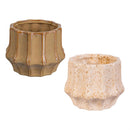 VivaStyle Planter, Ceramic Golden Flute, 5"H, Asst of 2