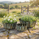 Hillside Pasture Metal Verdigris Petal Edge Planter, Set of 3