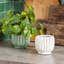 VivaStyle Planter, Ceramic Mist Glaze, 4.33"H, Asst of 2