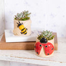 Cottage Garden Planter, Ceramic Bee and Ladybug Planter, 3.1"Dx2.8"H, 2 Asst