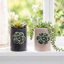 Cottage Garden Ceramic Planter, 5", Asst of 2