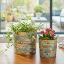 VivaStyle Planter, Metal, Nested Set of 2