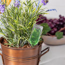 Plant Food for Herbs, 42 Tubes Per Color Box