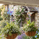 Cottage Garden Plant Support & Accessories Metal Butterfly Planter Hook,14" 2 Asst
