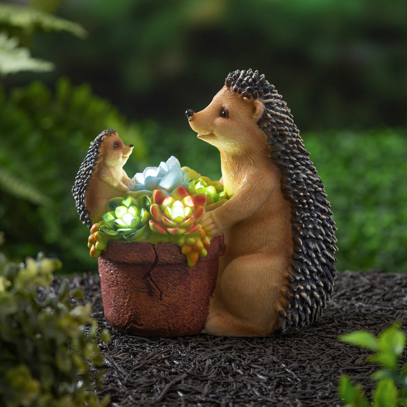 Solar resin  statuary,  succulent hedgehog family,q50892