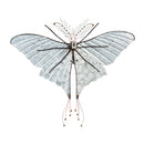 BUTTERFLY WALL ART, Pink