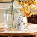 NAPA Home & Garden, LAZIO Collection