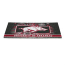 University of Arkansas Patriotic PVC Mat, 28"x16"