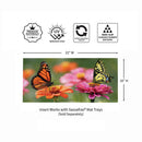 Cottage Garden Monarch Visit Sassafras Switch Mat