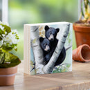 High Country Bear Family Wood Sign Plock, Baby Bears, 6"x6"