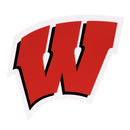 University of Wisconsin-Madison Layered Metal Wall Art