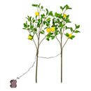 Seaside Retreat Stem, LED Lemon Branch, Set of 2 Branches, 30"H