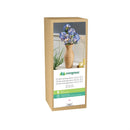 Hydrangea Haven Stem, LED Blue Hydrangea Branch, Set of 2, 32"H