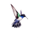 Cottage Garden Screen Savers, Bright Birds, 4", Asst of 6