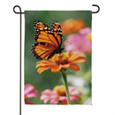 Cottage Garden Monarch Visit Suede Flag Garden