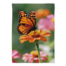 Cottage Garden Monarch Visit Suede Flag Garden
