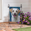 Camera Day Dogs, Labrador Retriever Suede Garden Flag