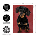 Camera Day Dogs, Dachshund Suede Garden Flag