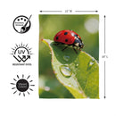 Morning Dew Ladybug Suede Flag Garden