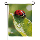 Morning Dew Ladybug Suede Flag Garden