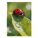 Morning Dew Ladybug Suede Flag House