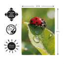 Morning Dew Ladybug Suede Flag House