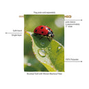 Morning Dew Ladybug Suede Flag House