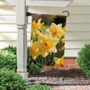 Daffodil Days Suede Flag Garden