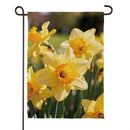 Daffodil Days Suede Flag Garden