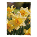 Daffodil Days Suede Flag Garden