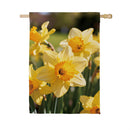 Daffodil Days Suede Flag House