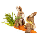 Hop Into Spring Table Decor, Sisal Bunny Riding on a Carrot, 13"L