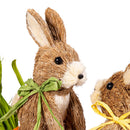 Hop Into Spring Table Decor, Sisal Bunny Riding on a Carrot, 13"L