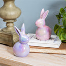Hop Into Spring Table Decor Ceramic Bunny, 6"H, Asst of 2