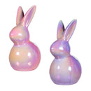 Hop Into Spring Table Decor Ceramic Bunny, 6"H, Asst of 2